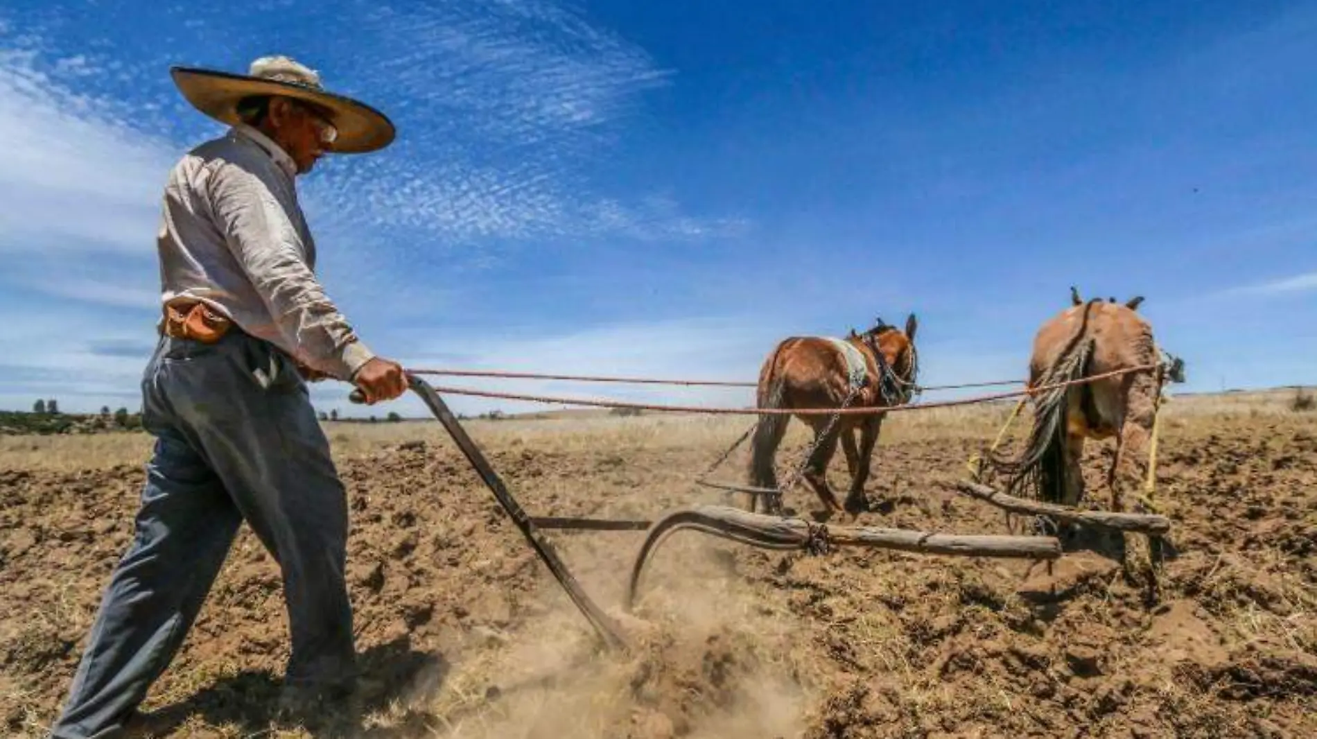 Trabajadores de Grano México